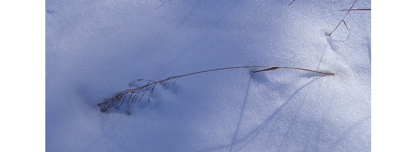 2005.12.3020008.jpg