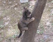 登れたぁ.JPG