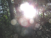 _太陽0927.JPG