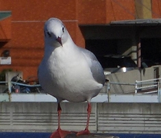 何だろう・・・？.JPG